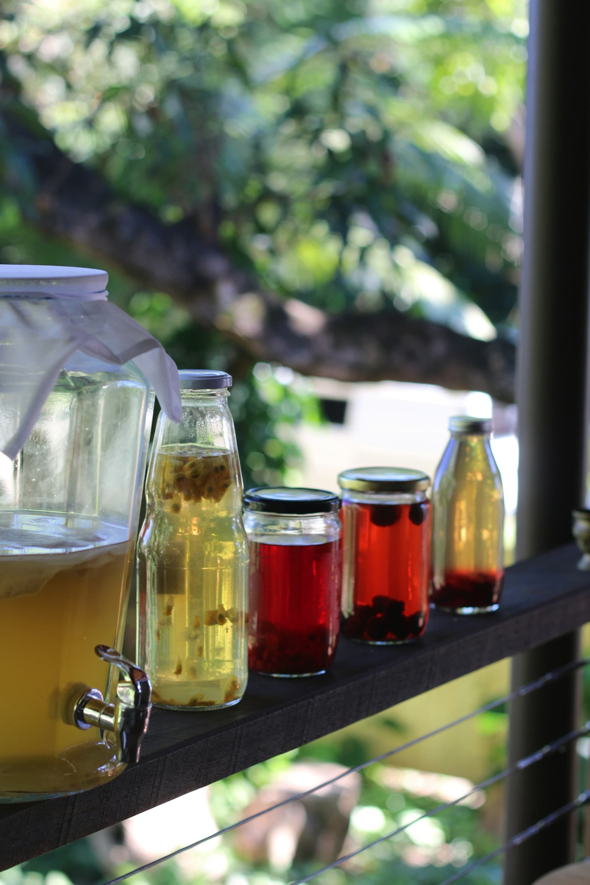 A row of home-fermented drinks in jars and bottles