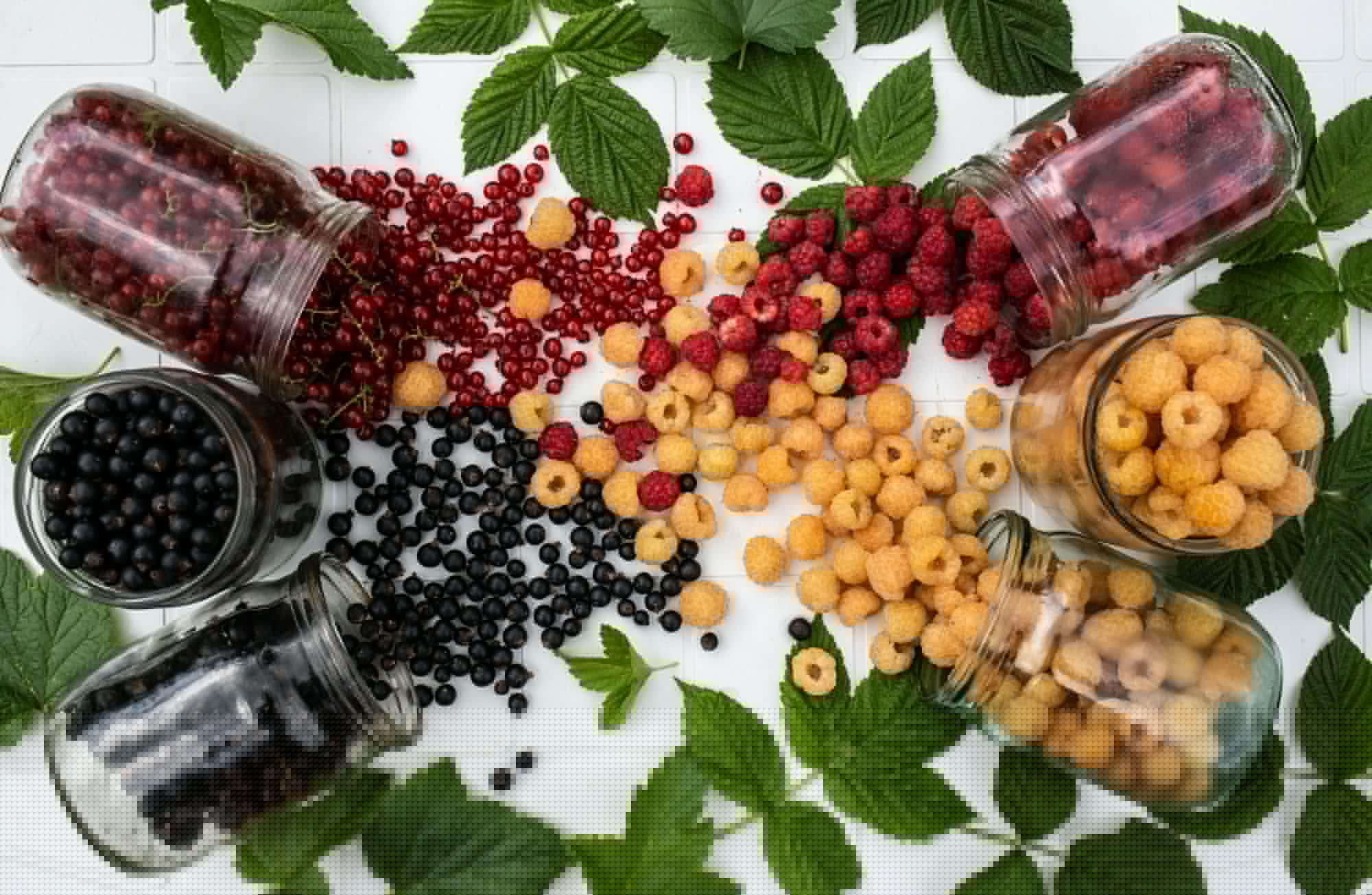 Jars of fresh berries spilled out across a table